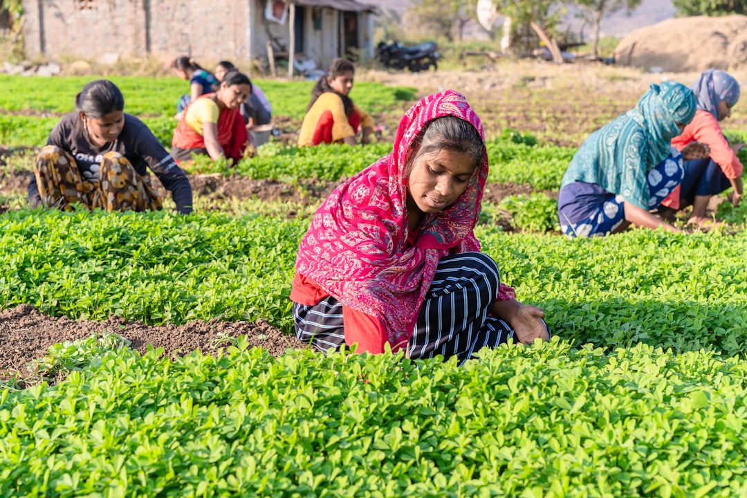 The Impact on Farmers and Communities