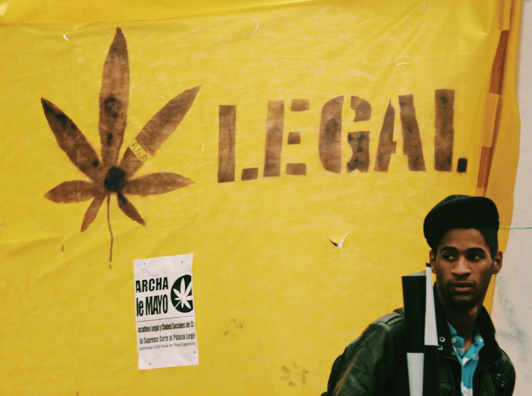The Legal Journey