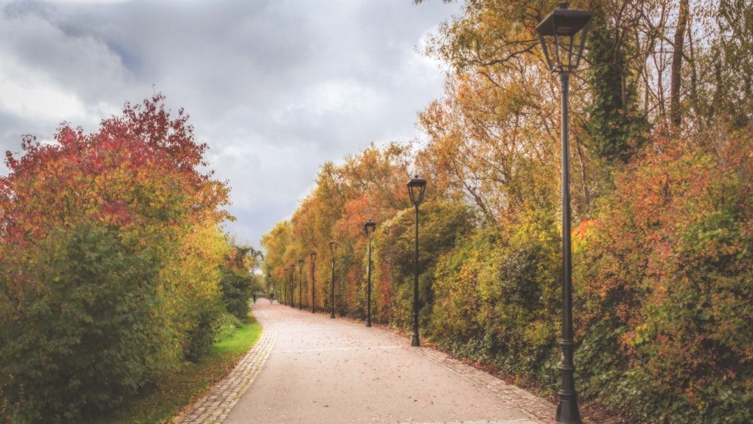 The Path to Transformation