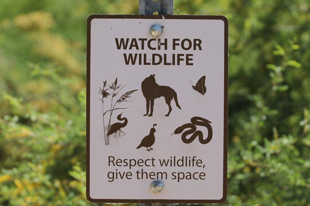 The Broader Debate on Wildlife Management
