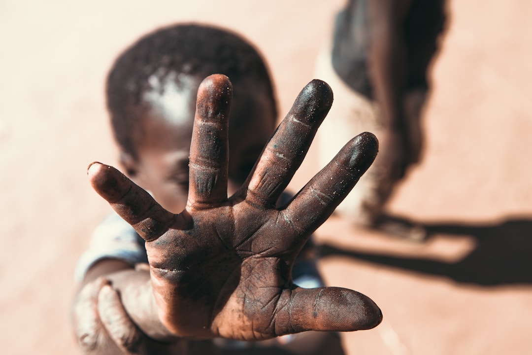 The Crisis in the Central African Republic
