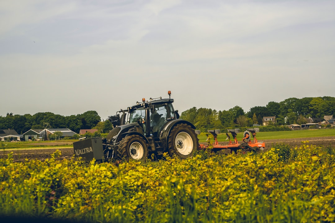 Industrial Farming: The Taste Thief