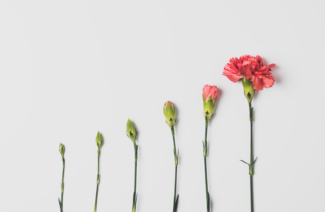 Optimism and Conditions for Growth