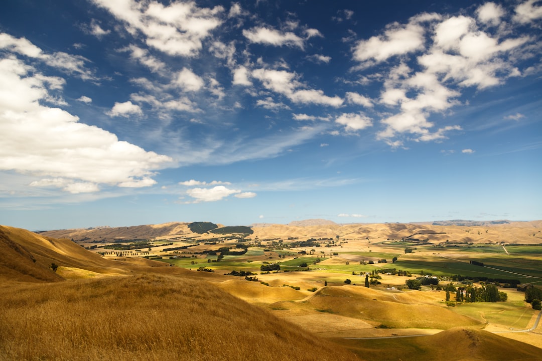 The Landscape of the By-election