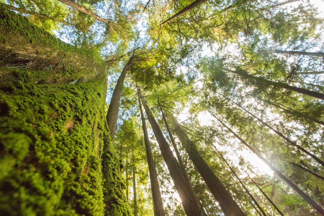 The Nature of the Fund and Its Implications