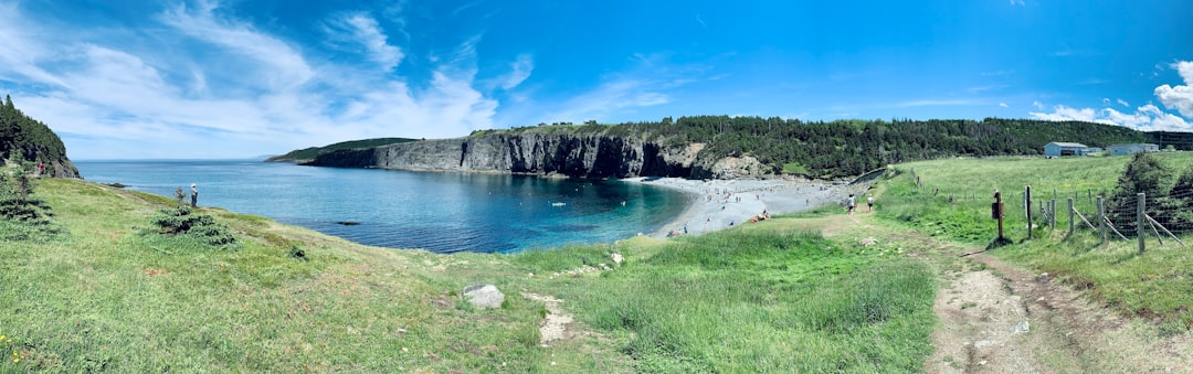 The Newfoundland Connection