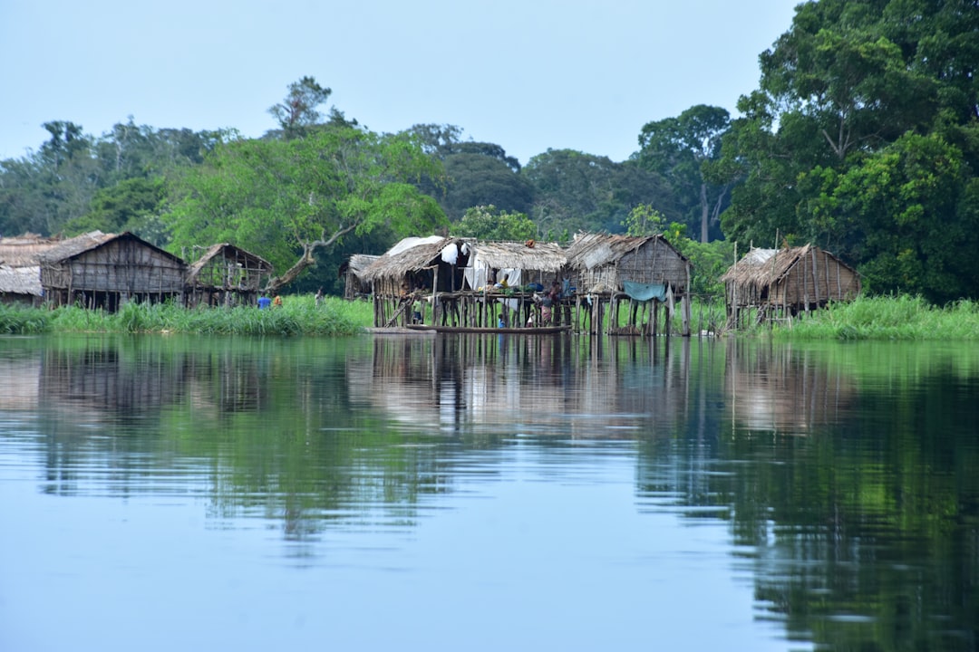 The Impact on the Central African Republic
