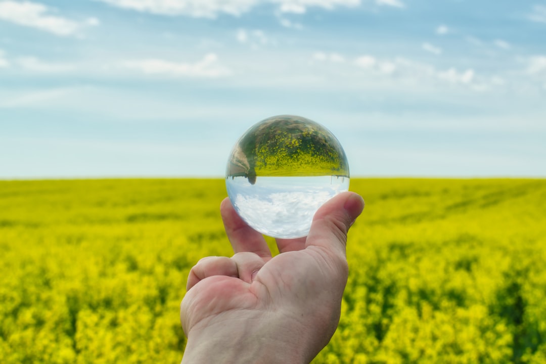 Implications for Future Environmental Litigation