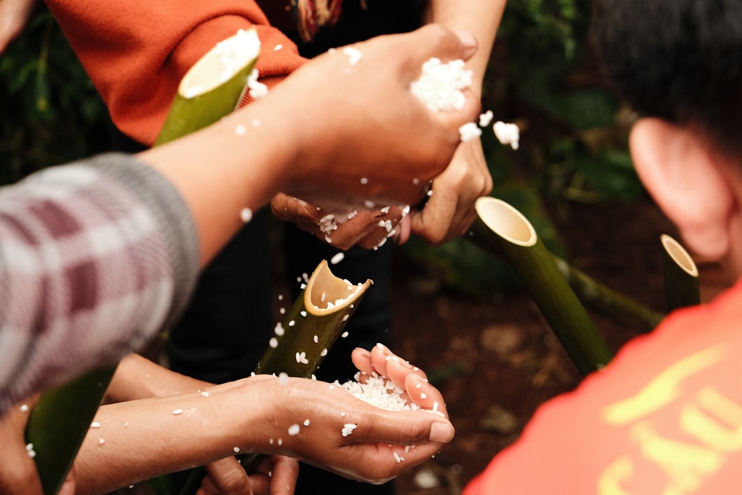 Making an Impact