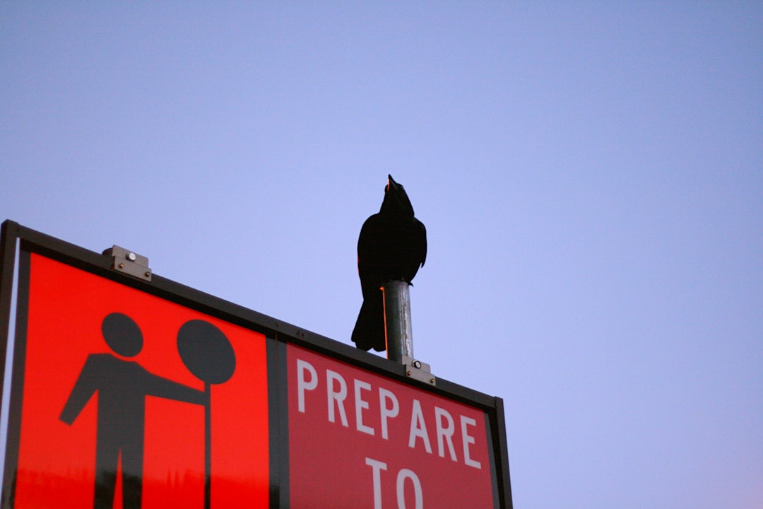 U.S. Response and Precautions