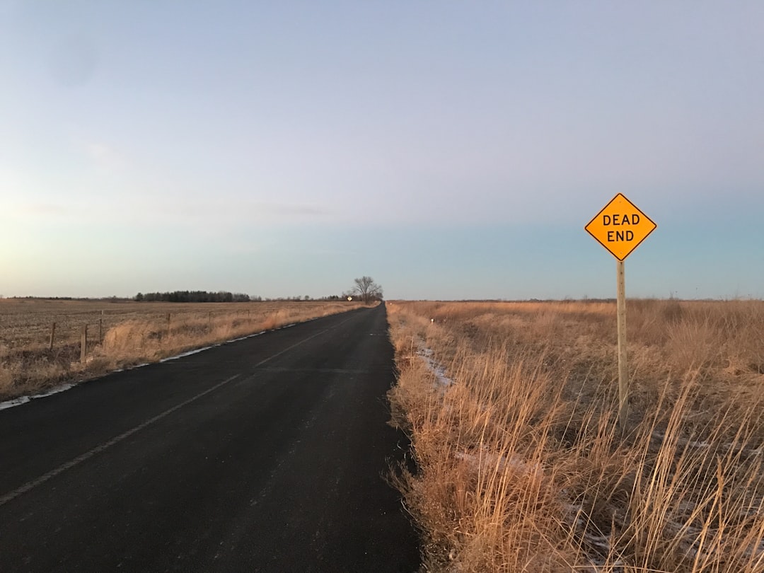 The Road Ahead: Seeking Investment Certainty
