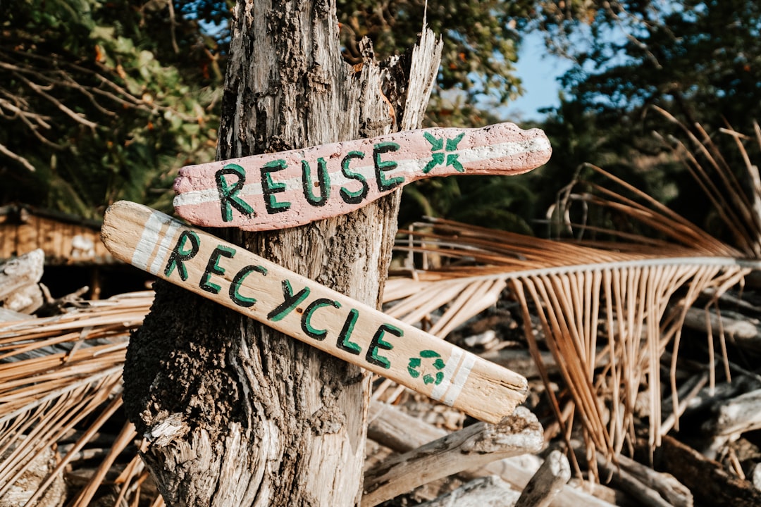 A Call for Sustainable Practices
