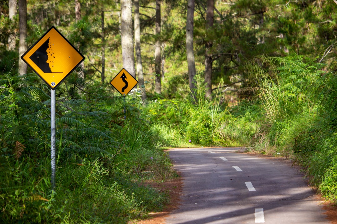 Encountering a Highway Hazard