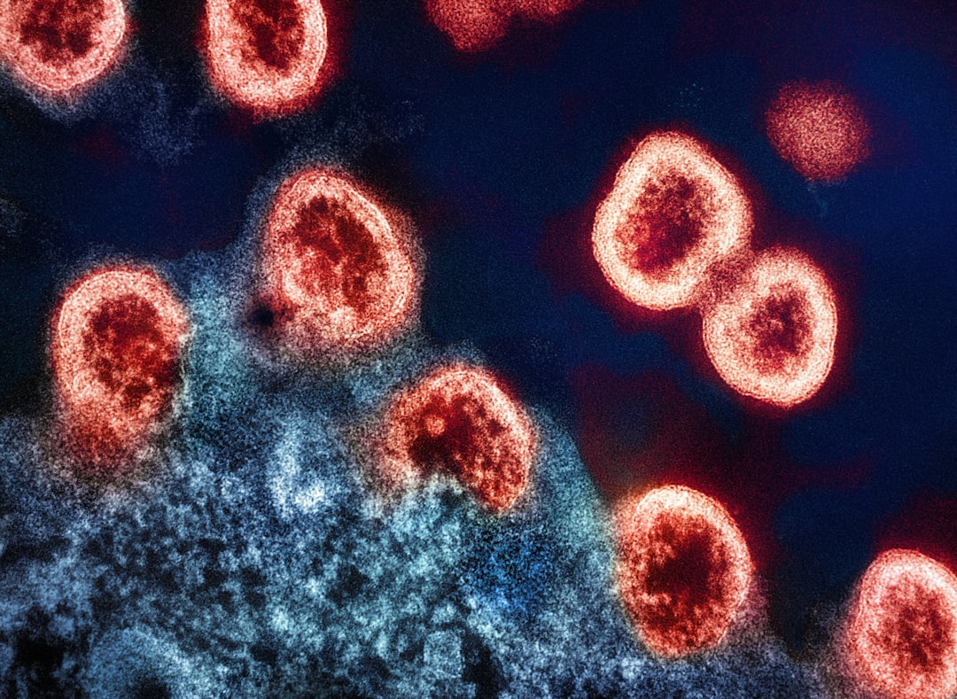 Current Status of Infected Individuals