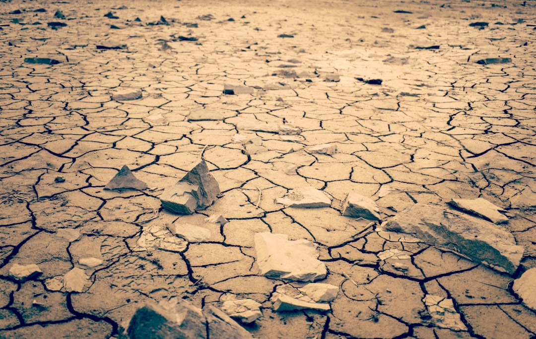 The Impact of Climate Extremes