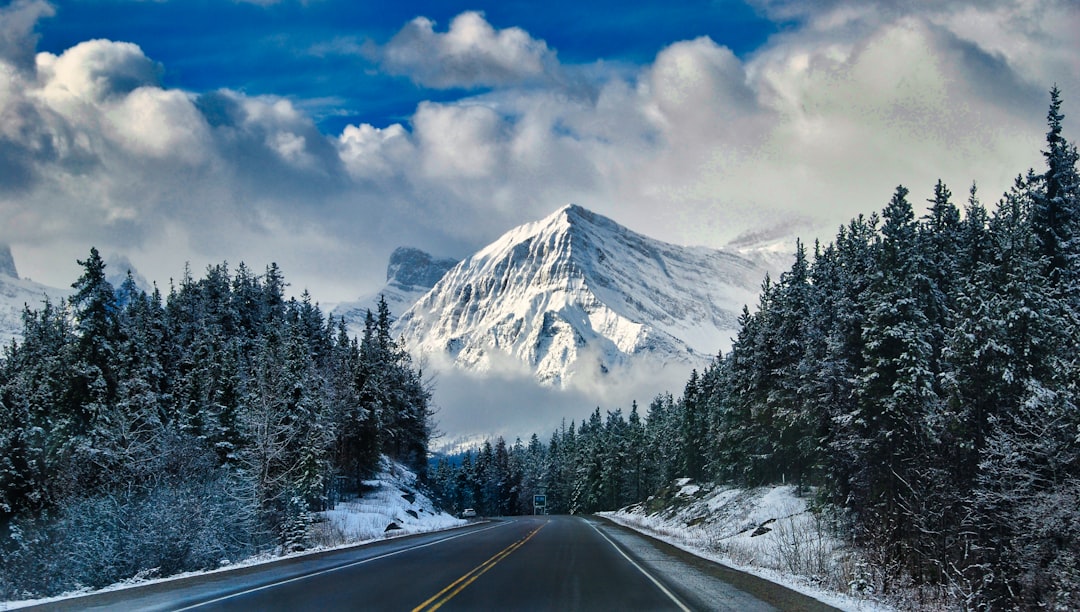 The Road Ahead for AI in Canada