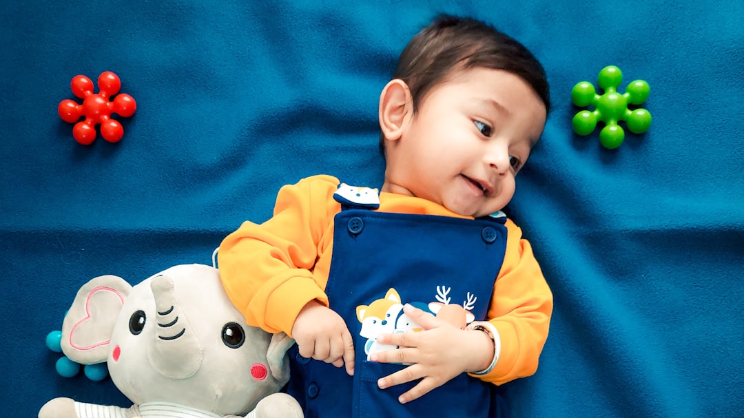 The Child Maintenance Service: A System Under Scrutiny