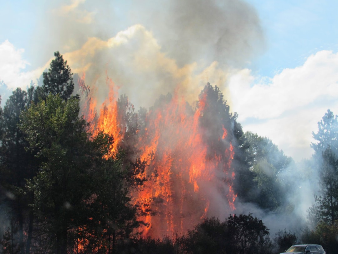 Lessons from Past Wildfire Seasons