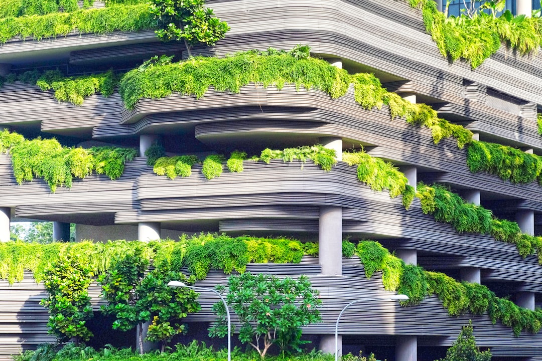 Towards a Sustainable Solution