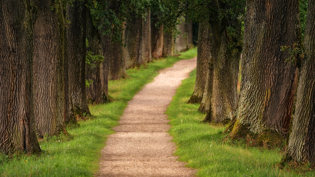 The Path Forward
