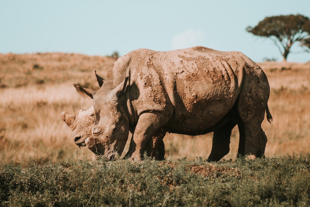 The Threat to Endangered Species