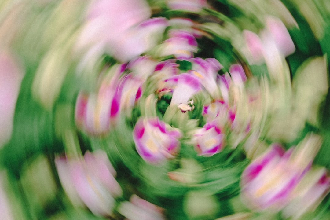 Embracing the Chaos of Spring