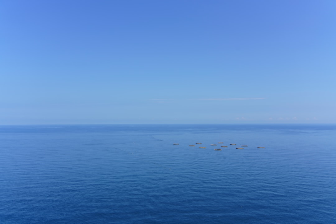 Key Targets on the Horizon
