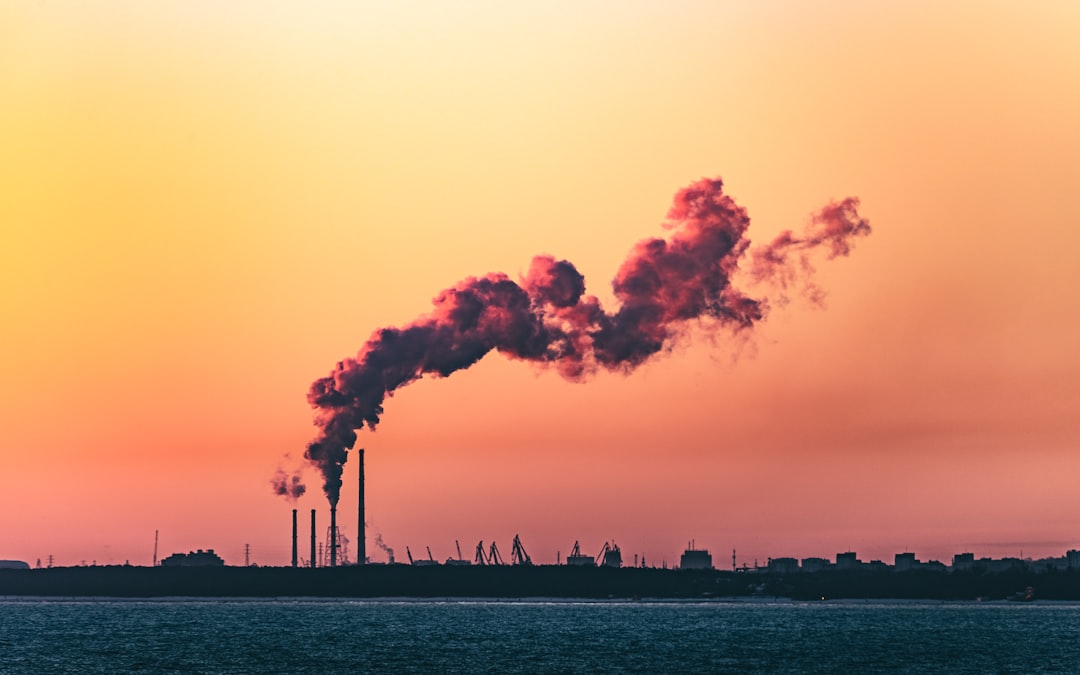 Carbon Pricing and Future Viability