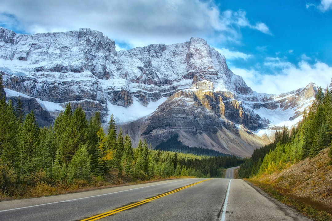 The Road Ahead