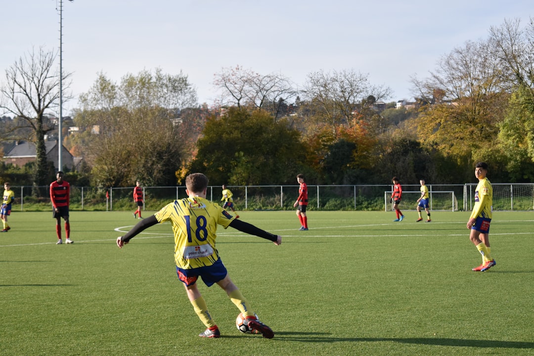 Ticketing Practices and Grassroots Impact
