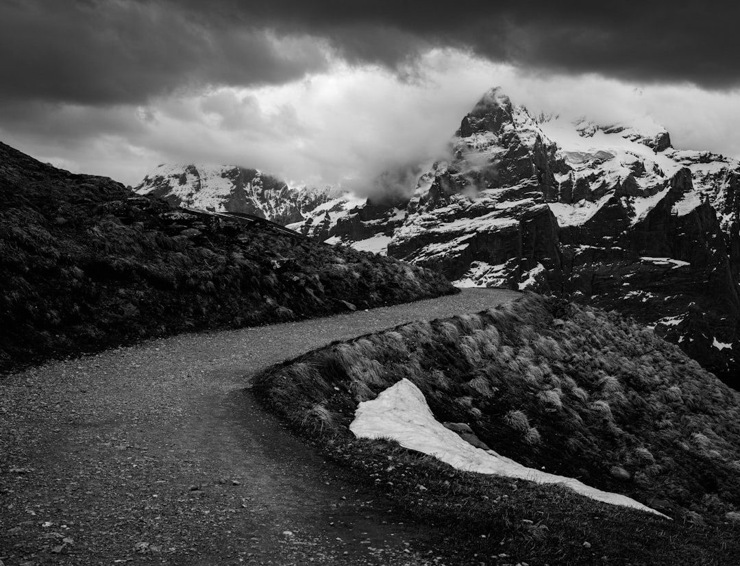 The Path Ahead for Blanche