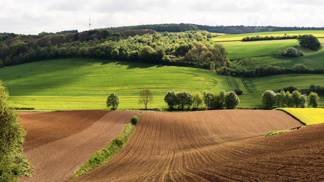 The Broader Economic Landscape