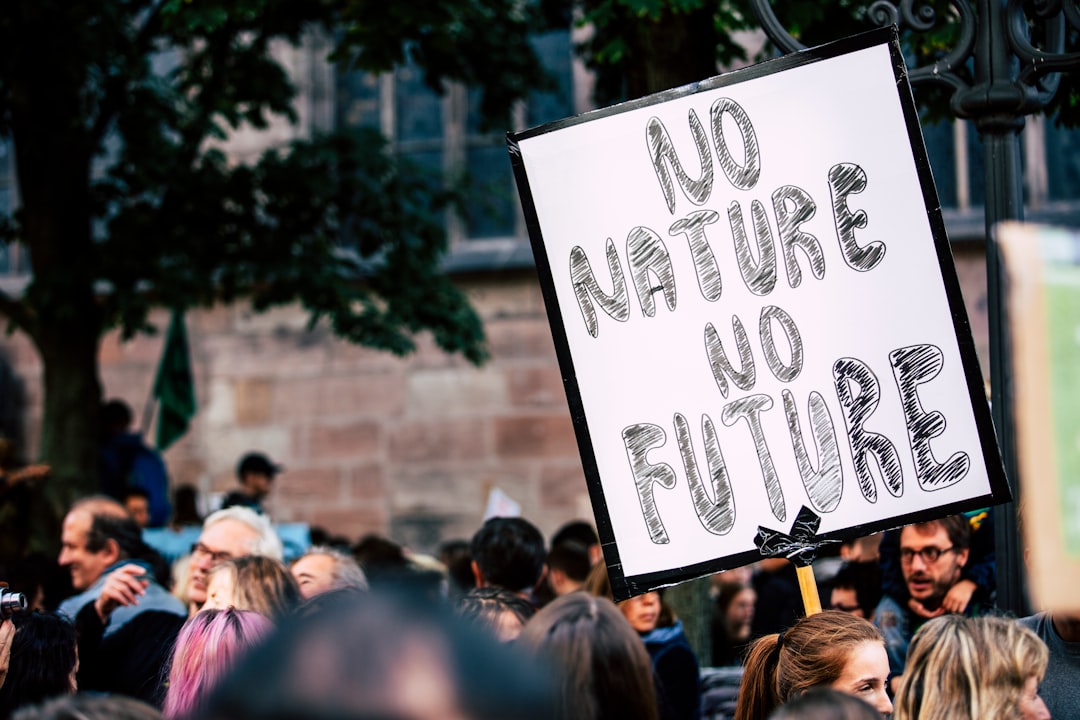 A Controversial Future for Climate Finance