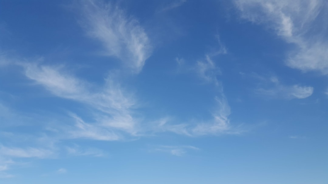 The Rise of Bluesky