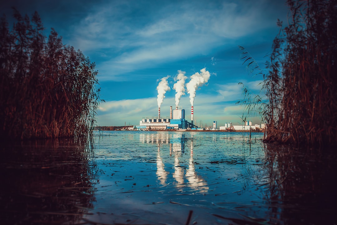 The Environmental Dilemma