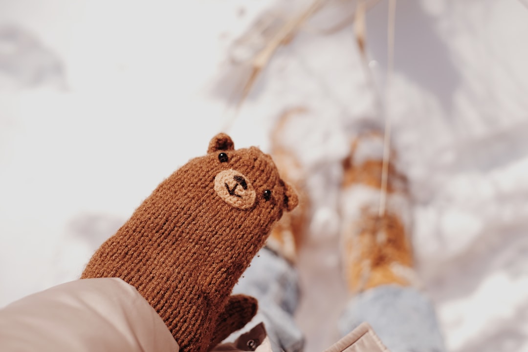 Seasonal Patterns and Bear Behaviour