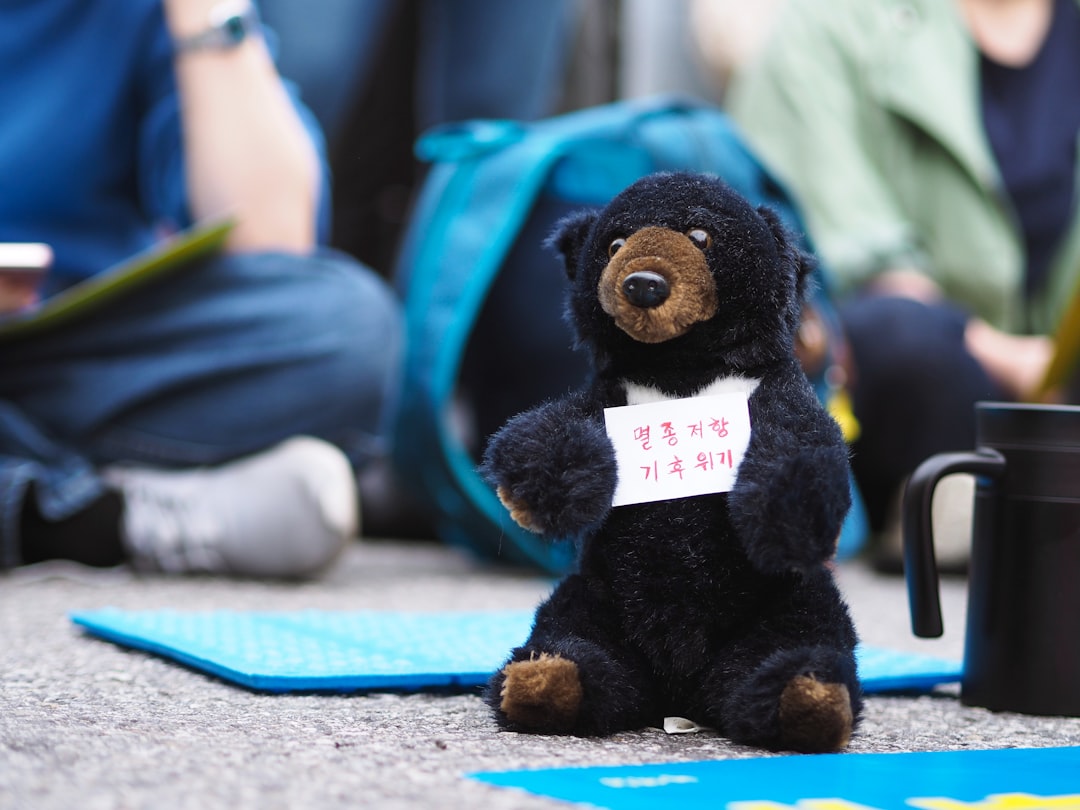 Staying Safe in Bear Country