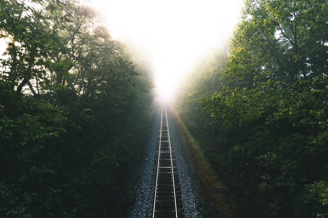 The Path Ahead: Challenges and Precautions
