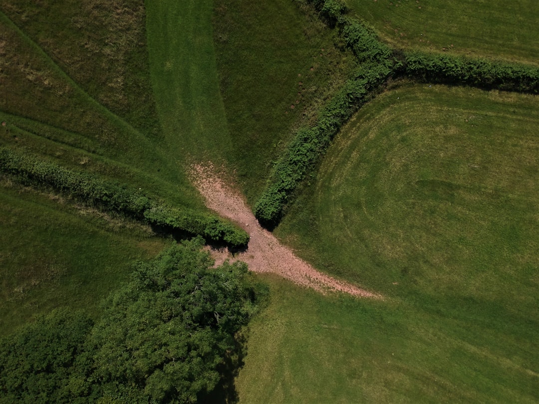 Diverging Paths on Welfare and Brexit