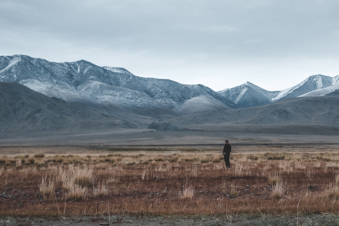 Learning from the Global Landscape
