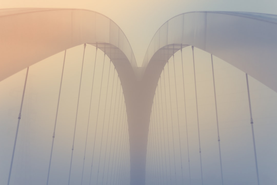 Bridging Divides
