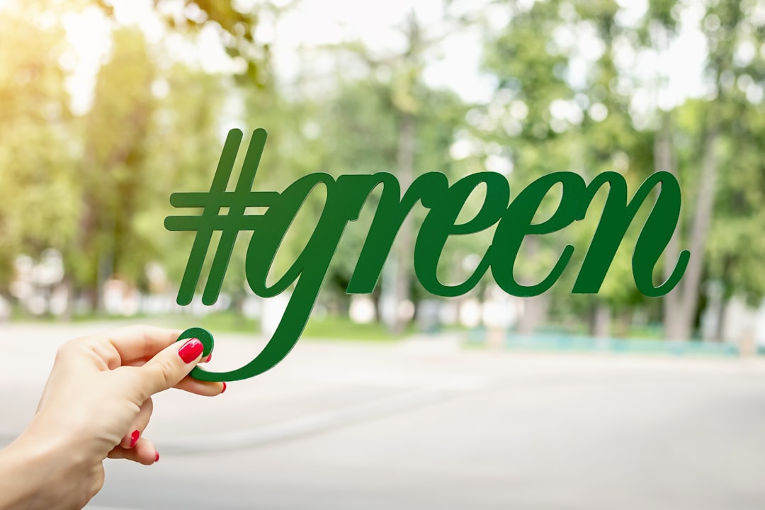 Al Green's Campaign and Challenges