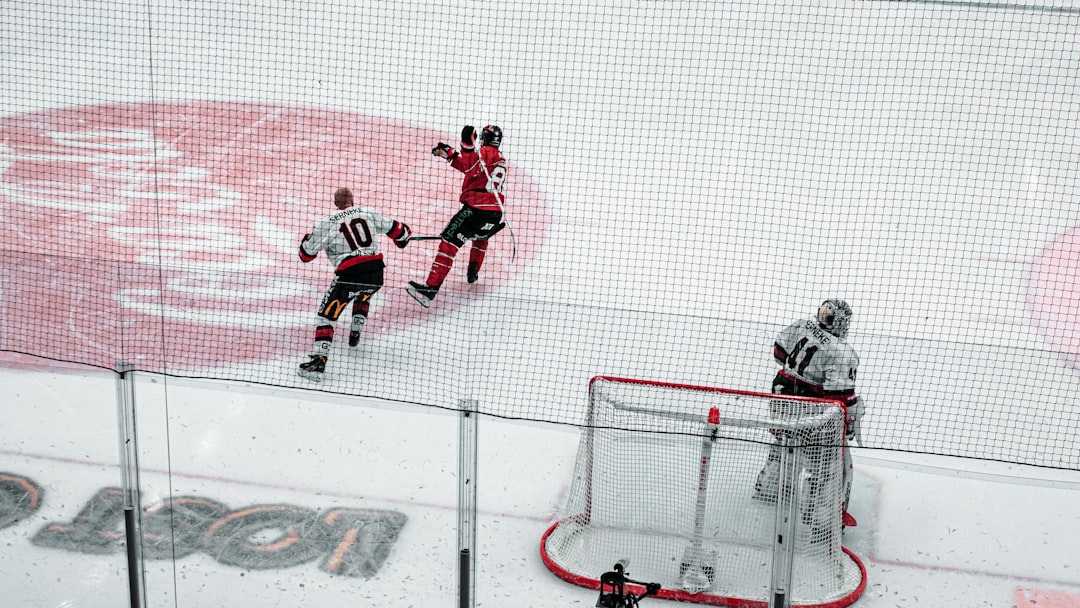 The Bigger Picture: Hockey as a Cultural Touchstone