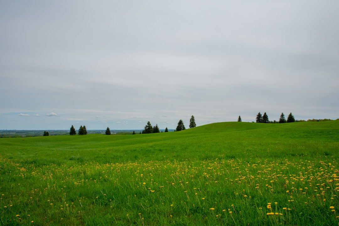 A Contradictory Landscape