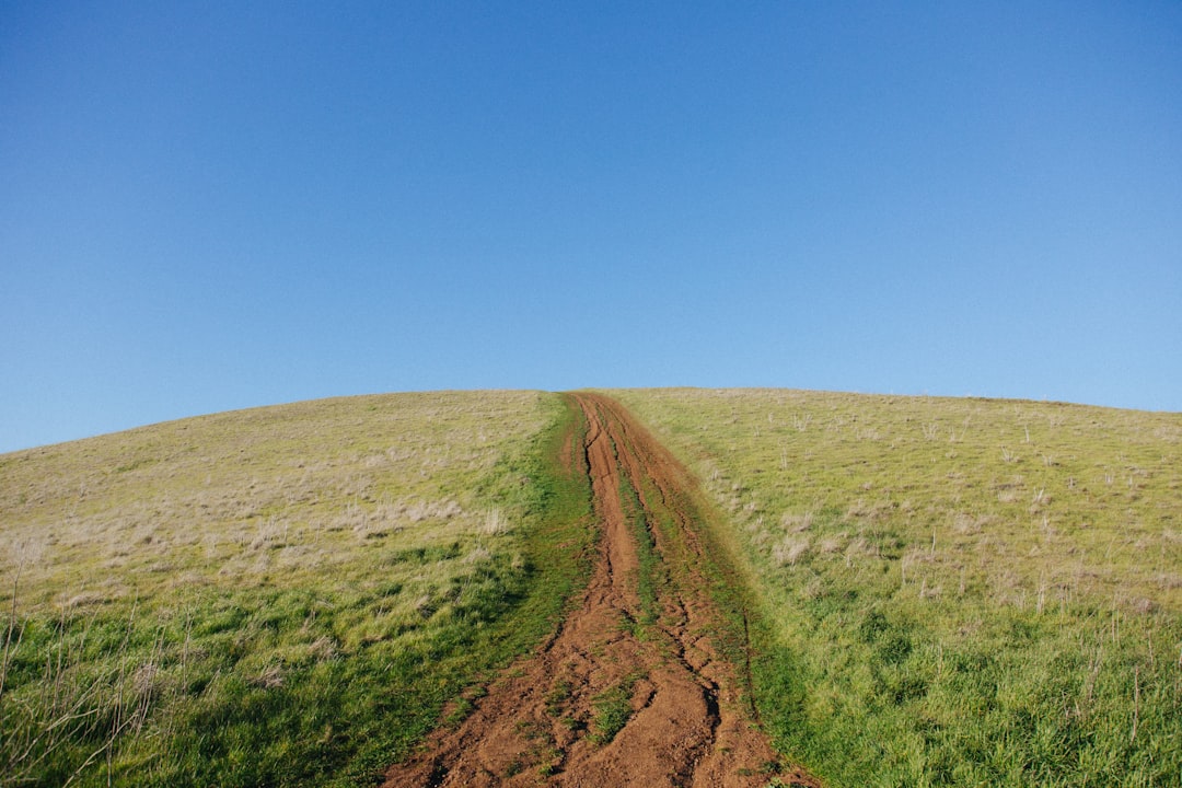Diverging Paths: Reeves vs. Miliband