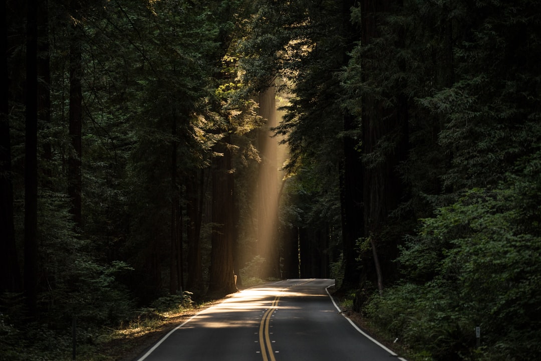 The Path Forward