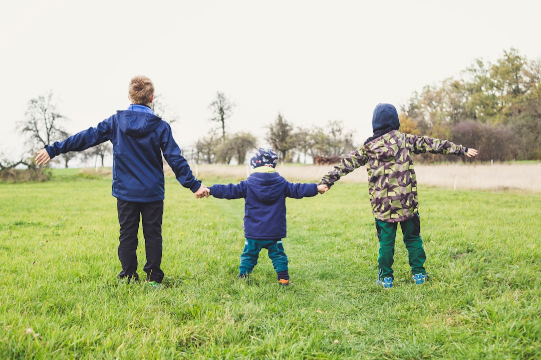 The Role of the Child Maintenance Service