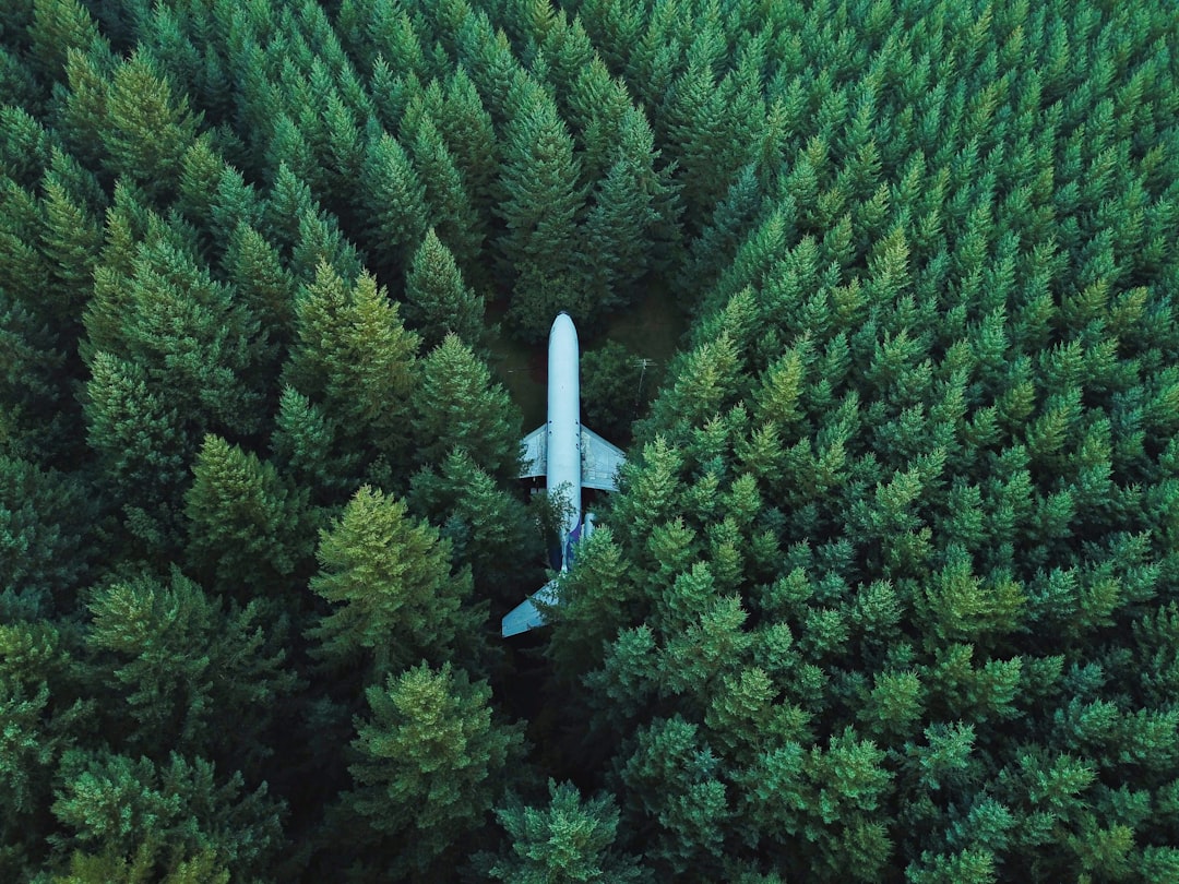The Promise of Sustainable Aviation Fuel
