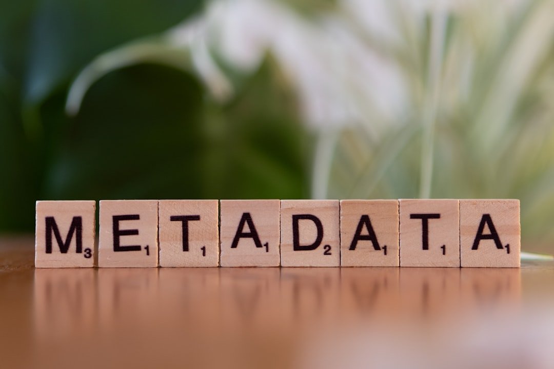 The Metadata Dilemma