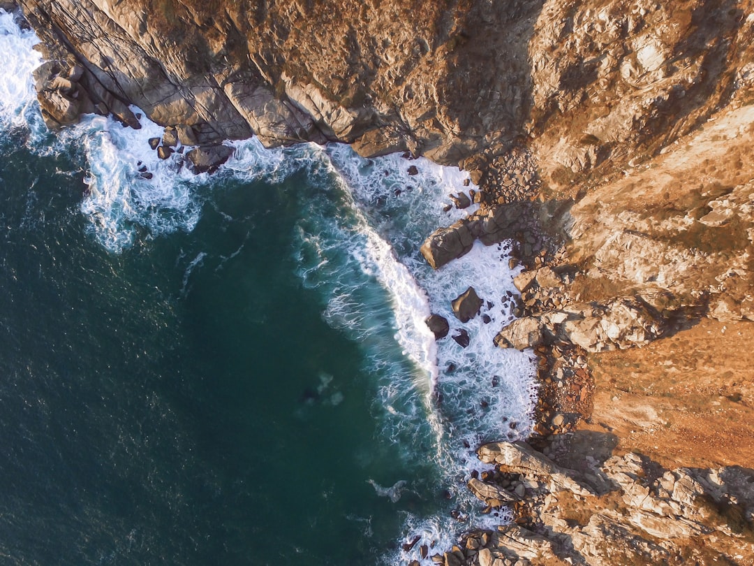 The Quest for Creativity